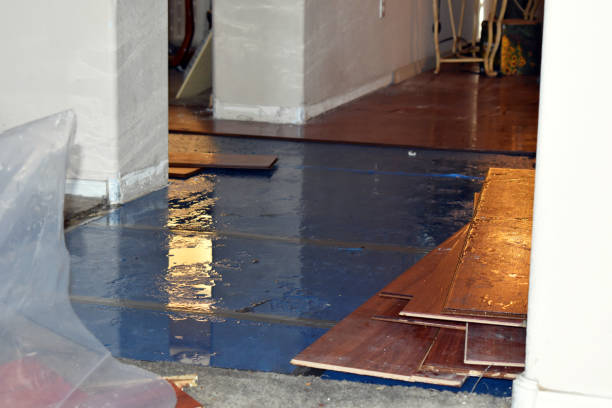 Professional Burst Pipe Cleanup technician working in Bonham, TX